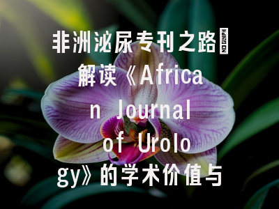 非洲泌尿专刊之路：解读《African Journal of Urology》的学术价值与投稿诀窍_泌尿科研究者的进阶指南