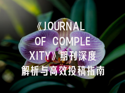 《JOURNAL OF COMPLEXITY》期刊深度解析与高效投稿指南