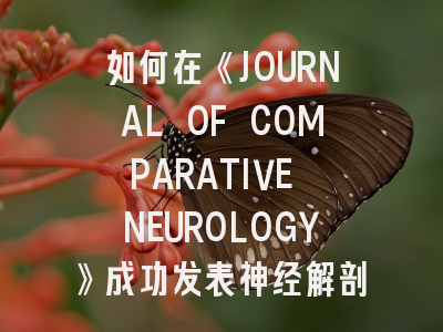 如何在《JOURNAL OF COMPARATIVE NEUROLOGY》成功发表神经解剖学研究？资深研究者教你核心策略