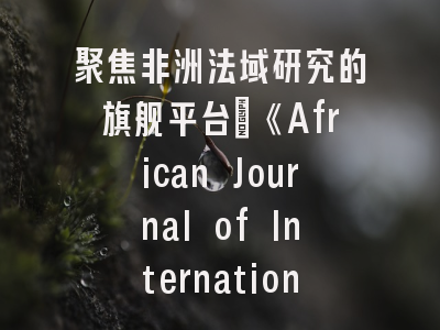 聚焦非洲法域研究的旗舰平台_《African Journal of International and Comparative Law》深度解析与投稿指南