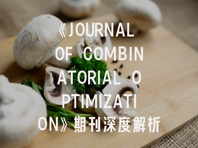《JOURNAL OF COMBINATORIAL OPTIMIZATION》期刊深度解析与投稿经验全指南
