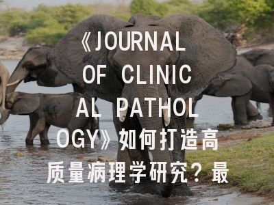 《JOURNAL OF CLINICAL PATHOLOGY》如何打造高质量病理学研究？最新投稿策略解析