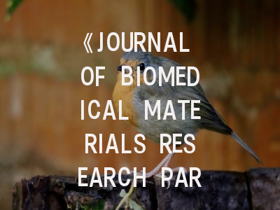 《JOURNAL OF BIOMEDICAL MATERIALS RESEARCH PART A》投稿全攻略：资深编辑的审稿内幕与策略解析