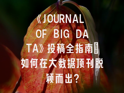 《JOURNAL OF BIG DATA》投稿全指南：如何在大数据顶刊脱颖而出？