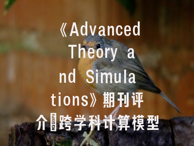 《Advanced Theory and Simulations》期刊评介：跨学科计算模型的发表指南
