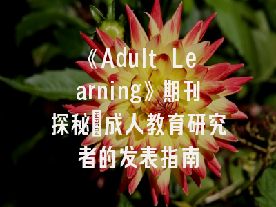 《Adult Learning》期刊探秘：成人教育研究者的发表指南