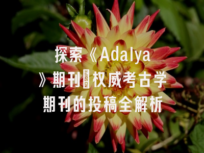 探索《Adalya》期刊_权威考古学期刊的投稿全解析
