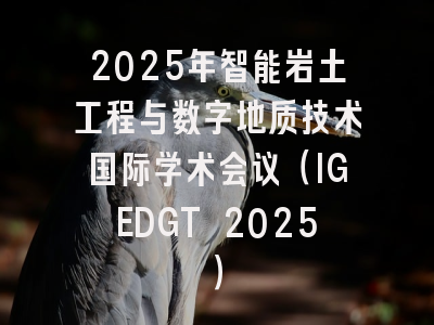 2025年智能岩土工程与数字地质技术国际学术会议（IGEDGT 2025）
