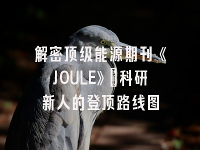 解密顶级能源期刊《JOULE》：科研新人的登顶路线图