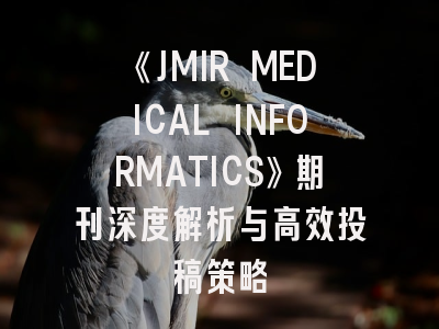 《JMIR MEDICAL INFORMATICS》期刊深度解析与高效投稿策略