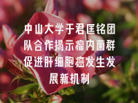 学术会议在线