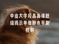 学术会议在线