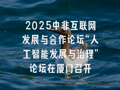 2025中非互联网发展与合作论坛“人工智能发展与治理”论坛在厦门召开