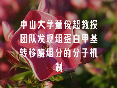 中山大学董俊超教授团队发现组蛋白甲基转移酶组分的分子机制