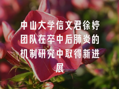 中山大学信文君徐婷团队在卒中后肺炎的机制研究中取得新进展