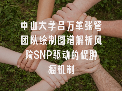 中山大学吕万革张弩团队绘制图谱解析风险SNP驱动的促肿瘤机制