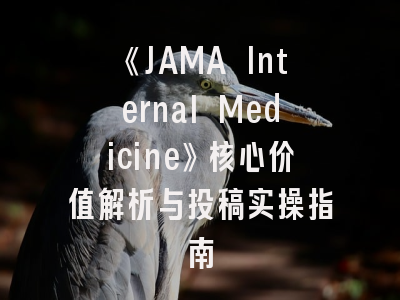 《JAMA Internal Medicine》核心价值解析与投稿实操指南