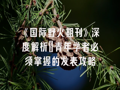 《国际野火期刊》深度解析：青年学者必须掌握的发表攻略