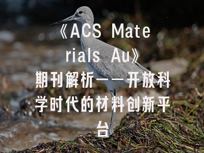《ACS Materials Au》期刊解析——开放科学时代的材料创新平台