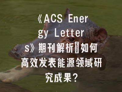 《ACS Energy Letters》期刊解析：如何高效发表能源领域研究成果？