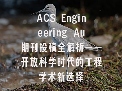 ACS Engineering Au期刊投稿全解析——开放科学时代的工程学术新选择