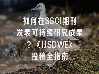 如何在SSCI期刊发表可持续研究成果？《IJSDWE》投稿全指南