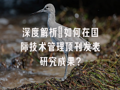 深度解析：如何在国际技术管理顶刊发表研究成果？