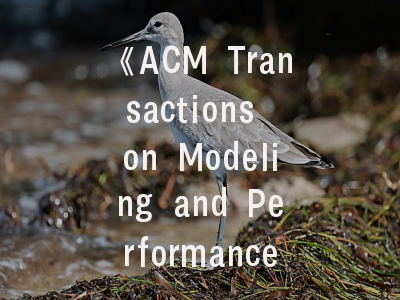《ACM Transactions on Modeling and Performance Evaluation of Computing Systems》- 顶尖建模期刊的破题之道与实践智慧