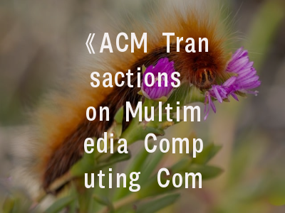 《ACM Transactions on Multimedia Computing Communications and Applications》期刊解析-助力科研人员攻克顶刊壁垒