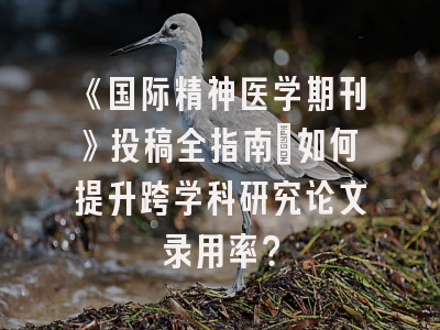 《国际精神医学期刊》投稿全指南：如何提升跨学科研究论文录用率？