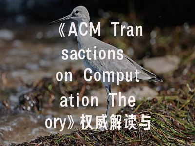 《ACM Transactions on Computation Theory》权威解读与投稿指南｜资深编辑的10项建议