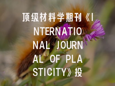 顶级材料学期刊《INTERNATIONAL JOURNAL OF PLASTICITY》投稿指南：避开这5个雷区让你的论文接收率翻倍