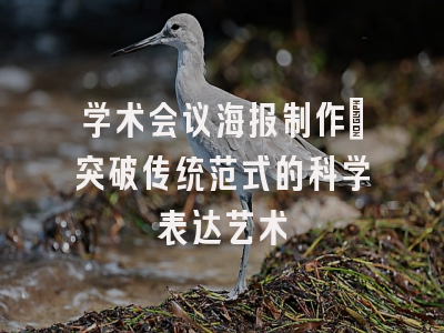 学术会议海报制作_突破传统范式的科学表达艺术