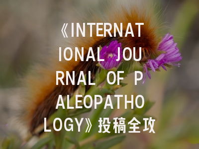 《INTERNATIONAL JOURNAL OF PALEOPATHOLOGY》投稿全攻略：从选题到见刊的七个关键步骤