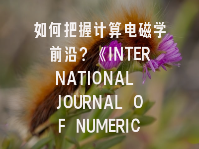如何把握计算电磁学前沿？《INTERNATIONAL JOURNAL OF NUMERICAL MODELLING》投稿策略全解析