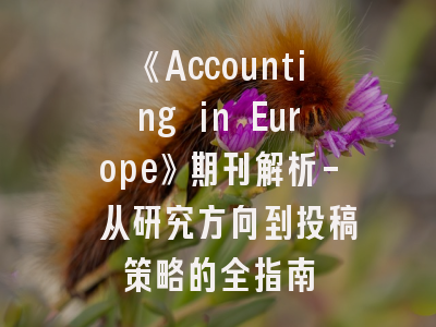 《Accounting in Europe》期刊解析- 从研究方向到投稿策略的全指南