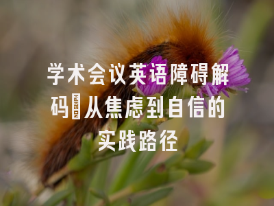 学术会议英语障碍解码：从焦虑到自信的实践路径