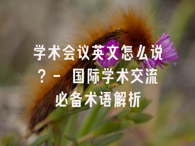 学术会议英文怎么说？- 国际学术交流必备术语解析