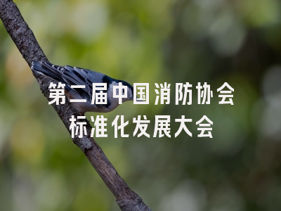 第二届中国消防协会标准化发展大会