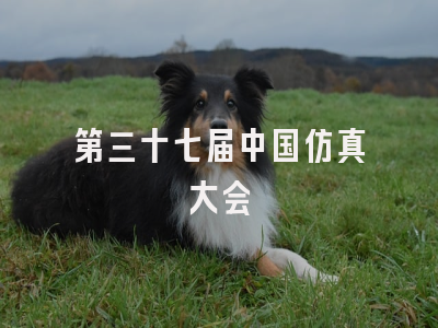 第三十七届中国仿真大会
