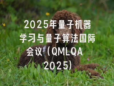 2025年量子机器学习与量子算法国际会议（QMLQA 2025）
