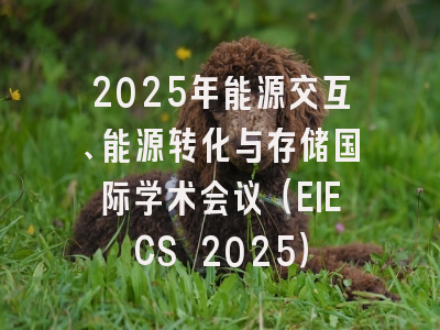 2025年能源交互、能源转化与存储国际学术会议（EIECS 2025）