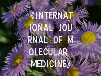 《INTERNATIONAL JOURNAL OF MOLECULAR MEDICINE》投稿全攻略：如何打造国际顶刊青睐的分子医学研究？