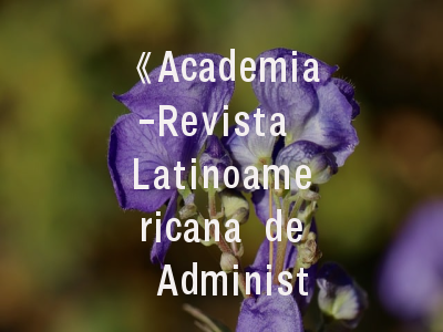 《Academia-Revista Latinoamericana de Administracion》：期刊概览与投稿指南
