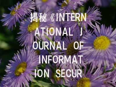 揭秘《INTERNATIONAL JOURNAL OF INFORMATION SECURITY》：期刊特色与投稿实战指南