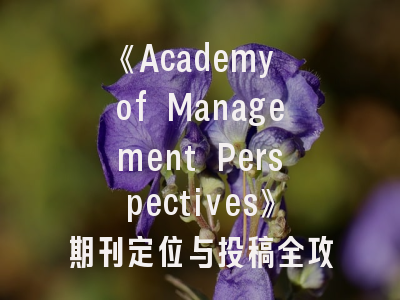 《Academy of Management Perspectives》期刊定位与投稿全攻略——管理学者的进阶指南