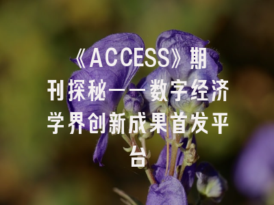 《ACCESS》期刊探秘——数字经济学界创新成果首发平台