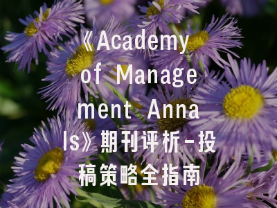 《Academy of Management Annals》期刊评析-投稿策略全指南