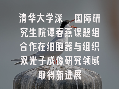 清华大学深圳国际研究生院谭春燕课题组合作在细胞器与组织双光子成像研究领域取得新进展
