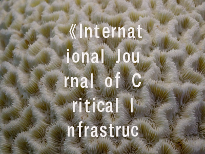 《International Journal of Critical Infrastructure Protection》投稿全攻略：科研人必读的实战指南